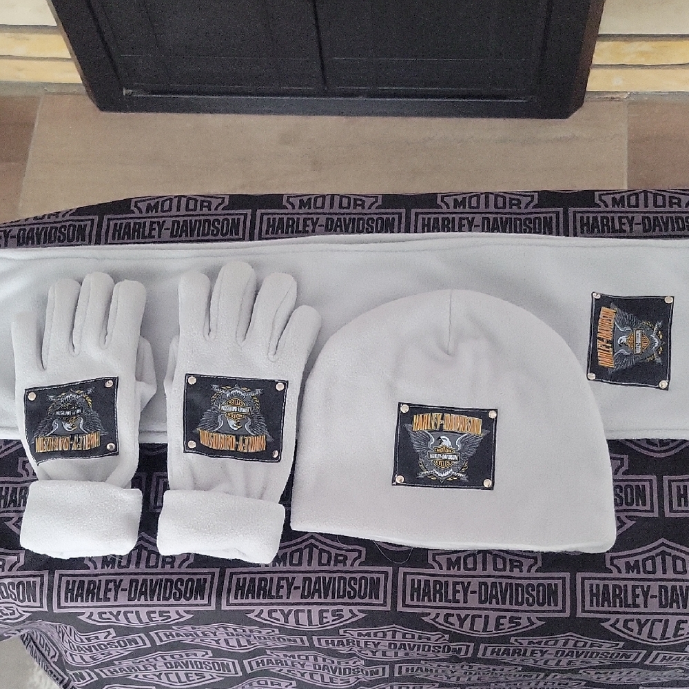 Harley-Davidson, Hat/Scarf/Gloves Set, Gray, Vintage